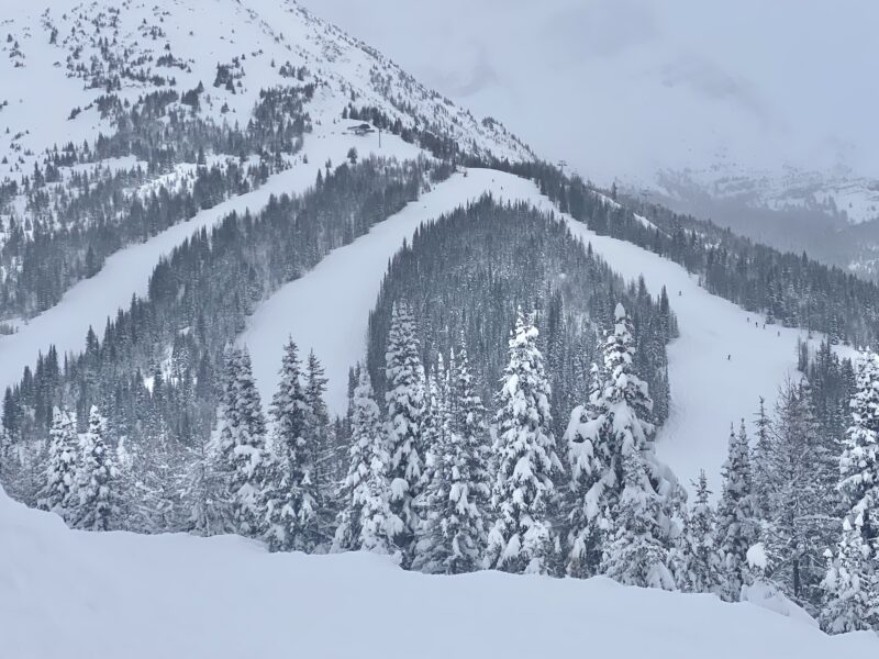 Richardson's Ridge opening day in Lake Louise. Image © PlanetSKI